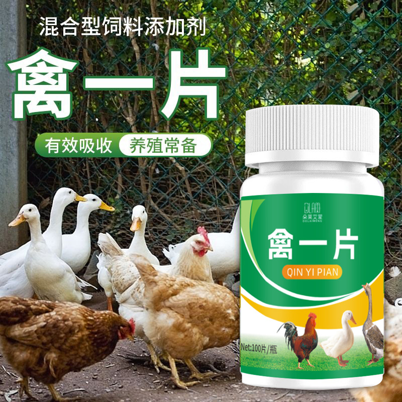 Avian First Aid Kit for Chickens, Ducks and Geese, Respiratory Tract Cold and Snoring, Special Full Treatment for Chickens in Farms
