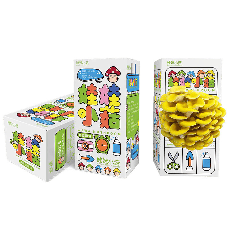 Pleurotus ostreatus mushroom bag strain edible bag mushroom planting mushroom bag balcony fun boxed children