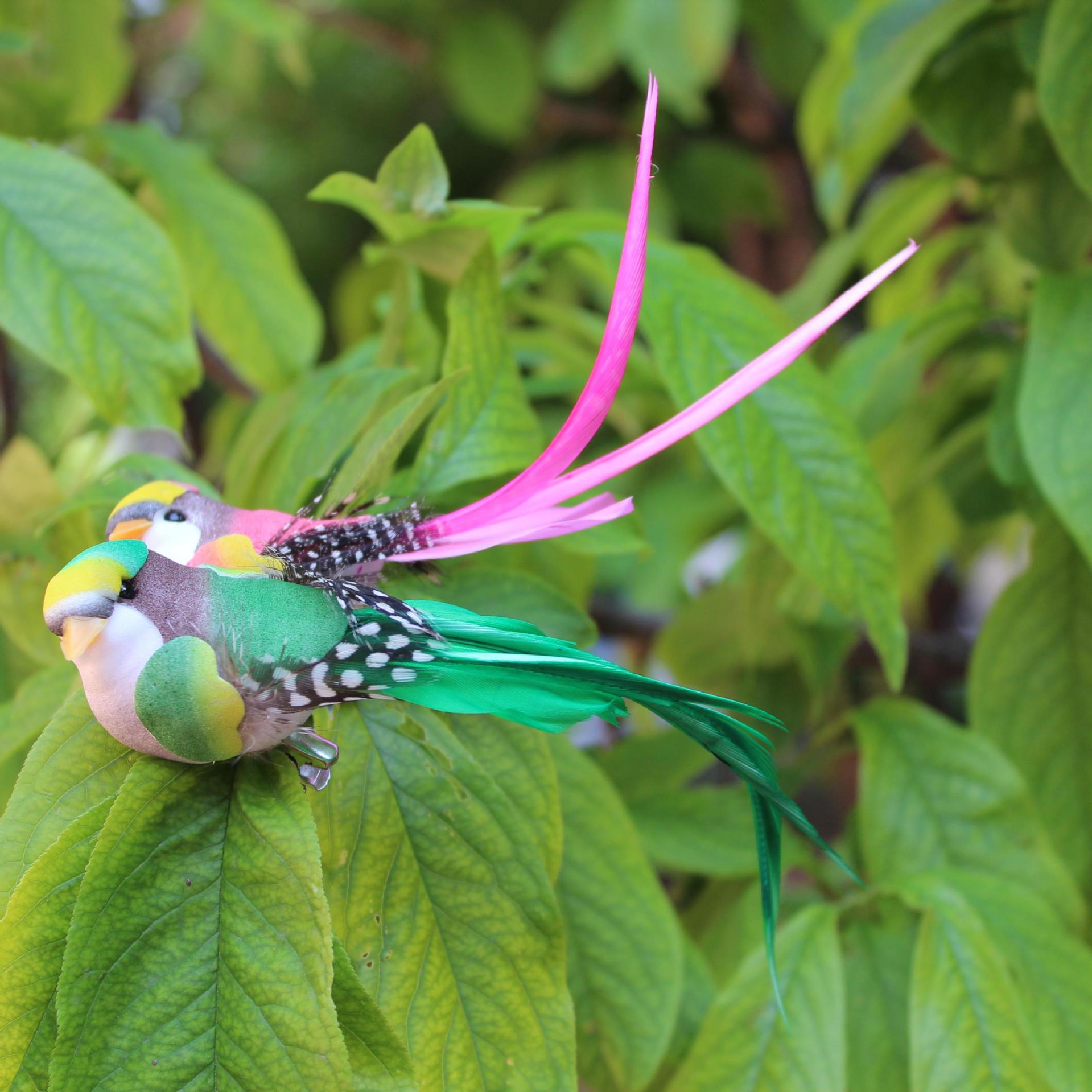 In stock simulation 14cm feather Bird six-color mixed batch bird/long tail silk bird/Green Plant Garden Crafts decoration wholesale