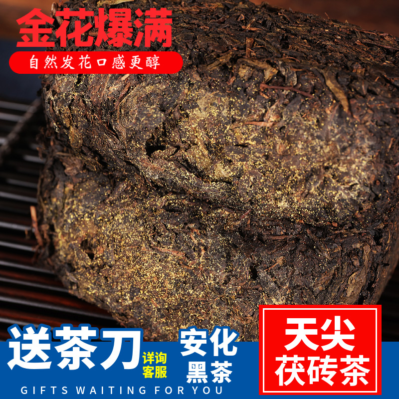 Black tea wholesale 500g 1 Jin Wulong wild fu tea Anhua black tea authentic golden flower black tea Tianjian raw material aged