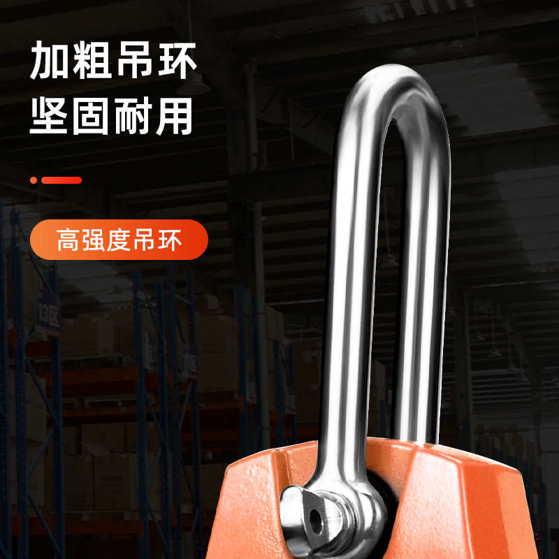 Electronic Crane Scale 300kg Hanging Scale Satchel Digital Weighing Driving Digital Scale Small Spring Hook Satchel Gram Scale