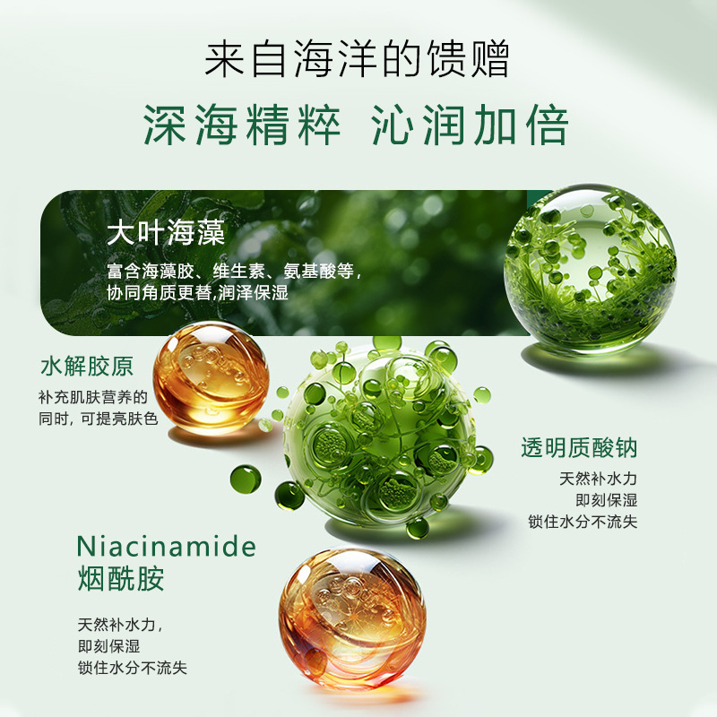 [1 piece on behalf of hair] beauty salon seaweed soft film powder 250g herbal small particle seaweed mask moisturizing