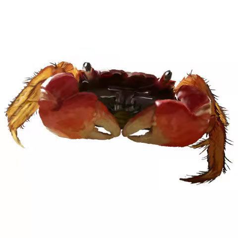 Hand crab living red Aoao ornamental crab pepper crab general crab Independent box packaging bag transportation risk large wholesale