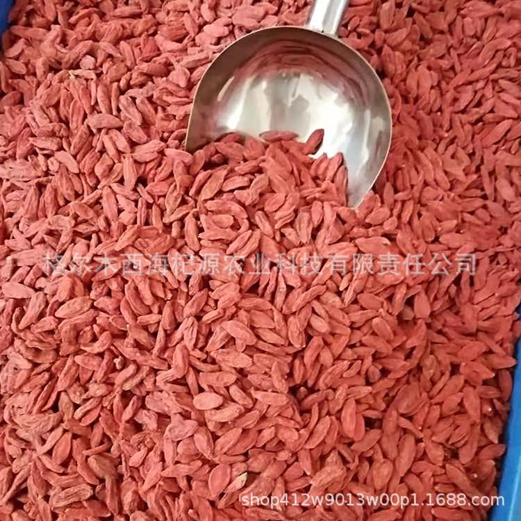 New medlar, red medlar, good dryness and sweetness, good selection of clean agricultural products, no flow, large batches of non-Ningxia