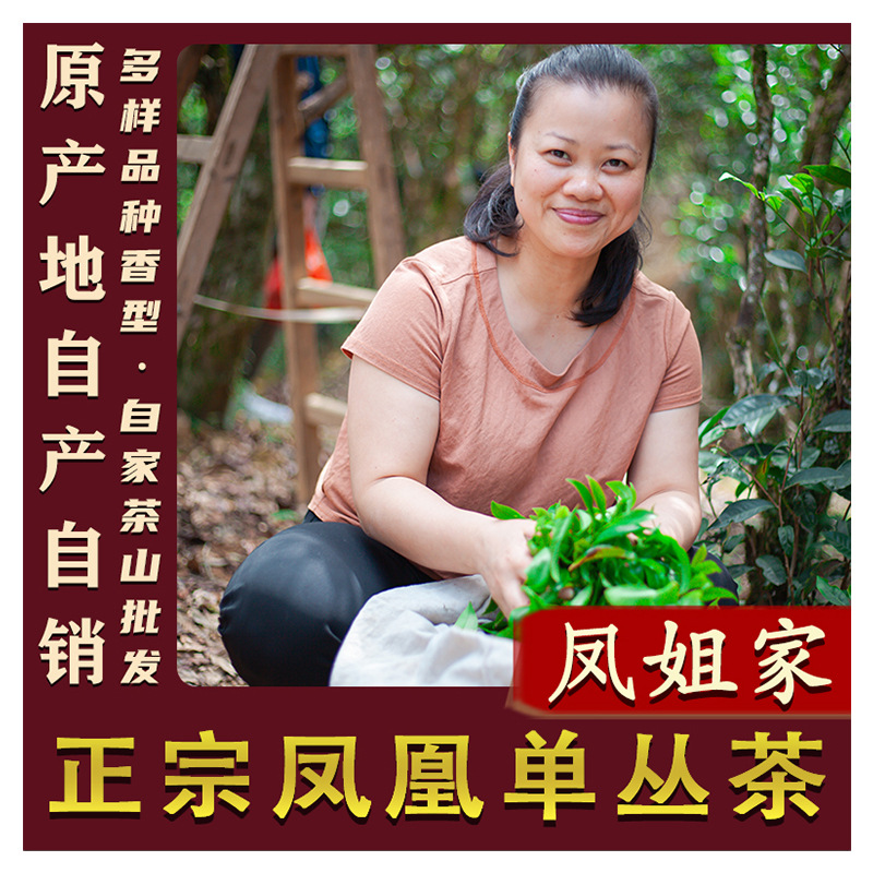 [Sister Feng’S Tea] 2025 New Year Tea Phoenix Dancong Tea Wudong Duck Poop Fragrance Song Dynasty Chaozhou Dancong Tea