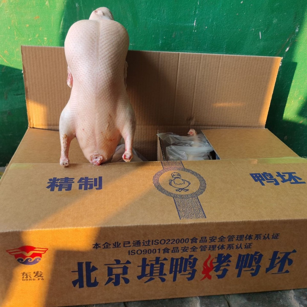 Source Factory Direct Delivery of 4 Pieces of Frozen Wholesale Cherry Valley Duck Embryos