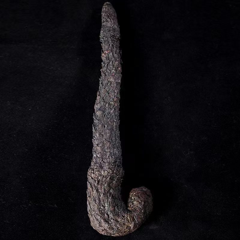 Cistanche Deserticola 500g Inner Mongolia Alxa Soft Branch Whole Root Can Be Sliced Cistanche Deserticola Dayun Men's Nourishing Soaking Water