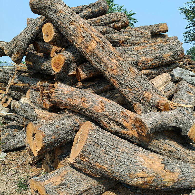 Jujube Wood Firewood for Outdoor Barbecue Camping, Landscape Decoration, Hardwood for Burning, Durable Firewood for Grilling, Roasting Duck, Fruit Wood