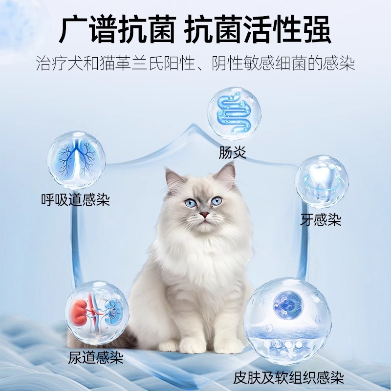 Amoxicillin Clavulanic Acid Potassium Tablets Are Anti-Inflammatory and Antibacterial Drugs for Dogs and Pets, and Can Be Used as Cold Medicine for Cats with Nasal Congestion