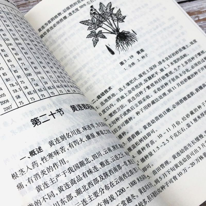 Chinese Herbal Medicine Planting Technology 200 Common Chinese Herbal Medicine Planting and Cultivation Technology Agricultural Planting Books