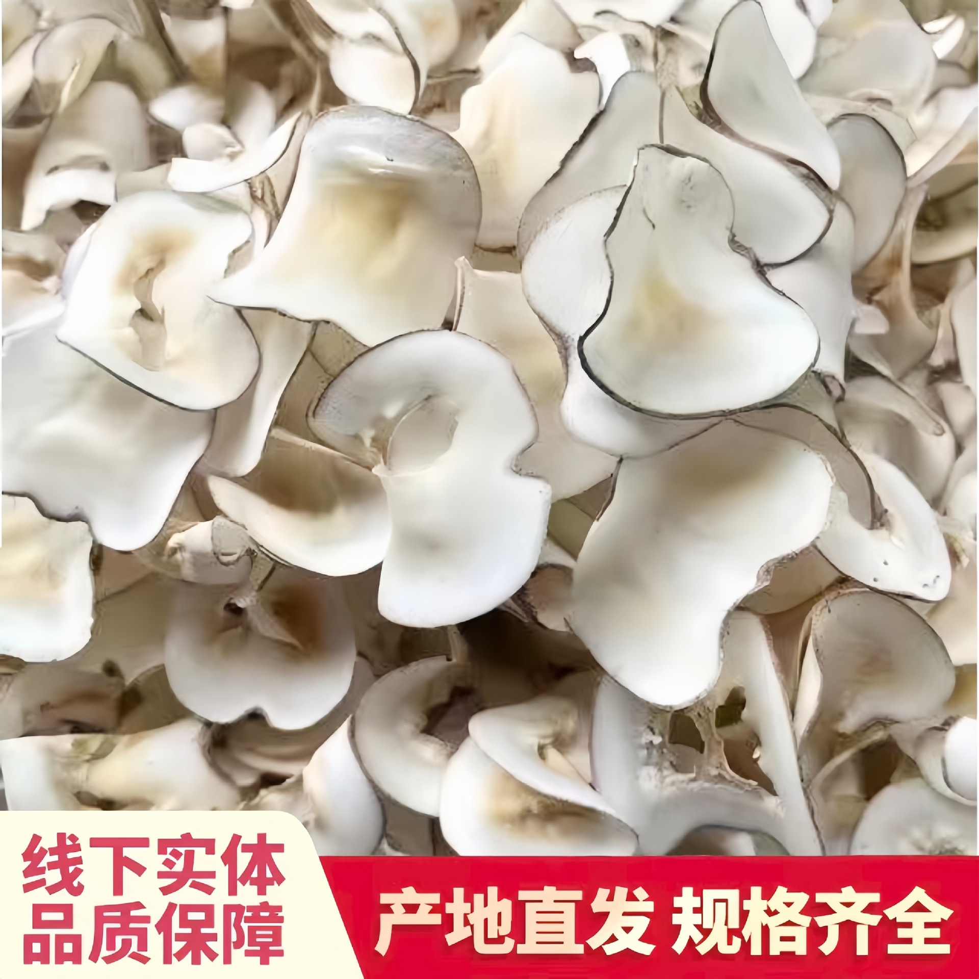 Dried Coconut Slices for Soup and Stew, Thin Slices in Bulk Wholesale, Hainan Specialty