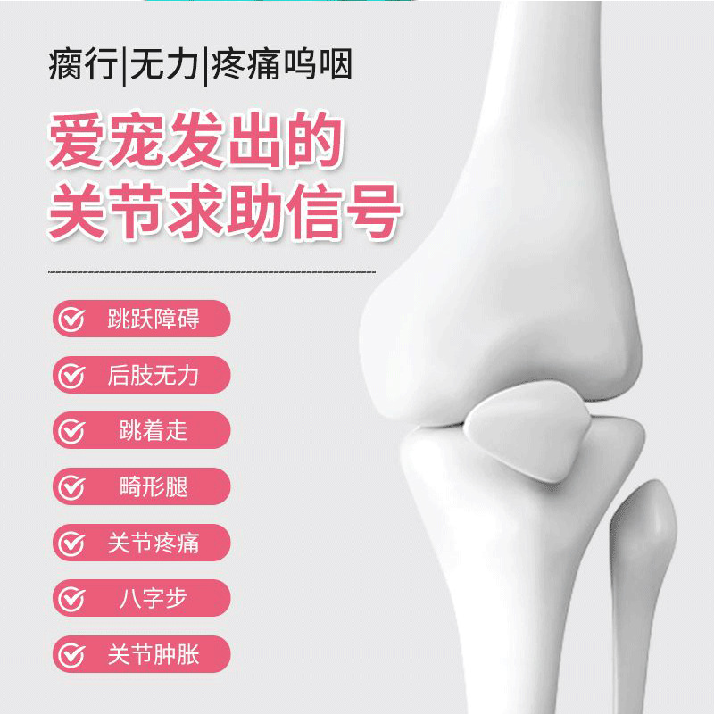 Shark Cartilage Supplement for Cats and Dogs, Universal Calcium Supplement, Glycosaminoglycosan, Cartilage Repair, Teddy Golden Retriever Daily Joint Care, Dog-Specific