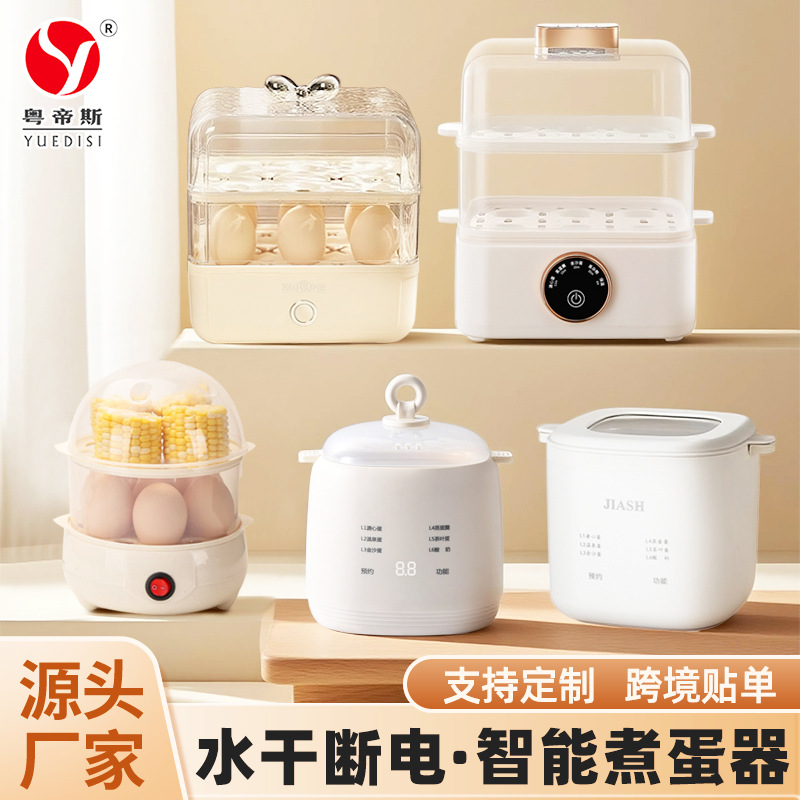 Mini Small Reservable Timer Breakfast Boiled Egg Cooker Automatic Power Off Fully Automatic Multi-Functional Egg Steamer