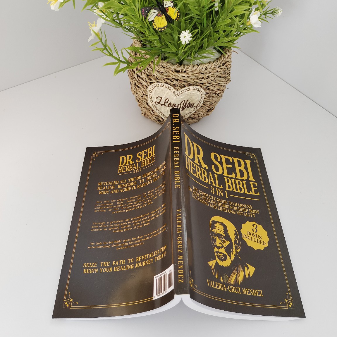 Cross-Border Popular Drsebimucuscleanse28Day Dr. Sebi Bible