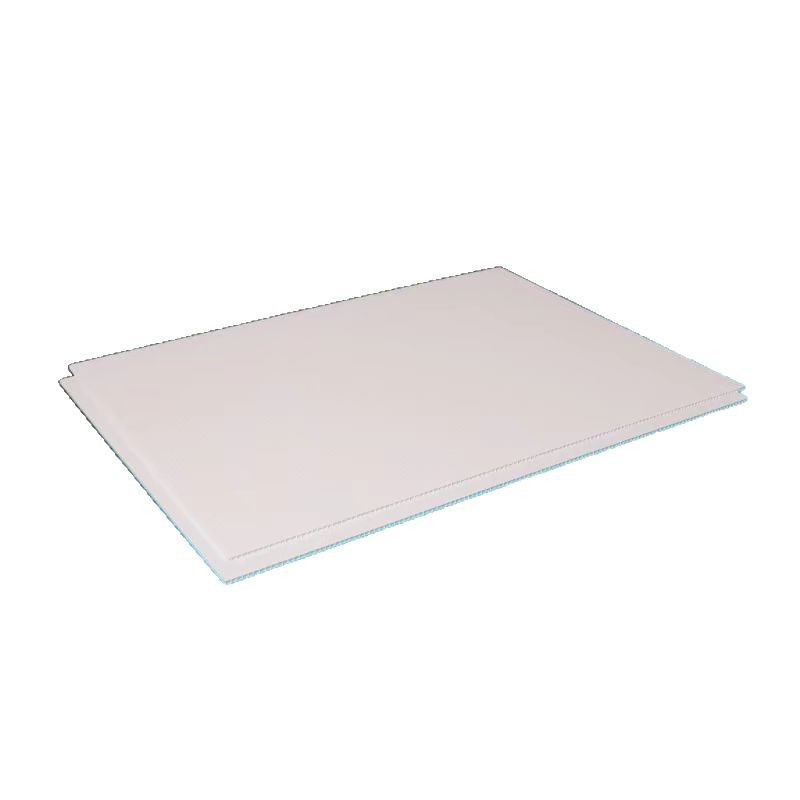 Shaanxi Yan'An Weinan Apple Cold Storage Iron Frame Pp Hollow Panel Hollow Board Anti-Collision and Low Temperature Resistance