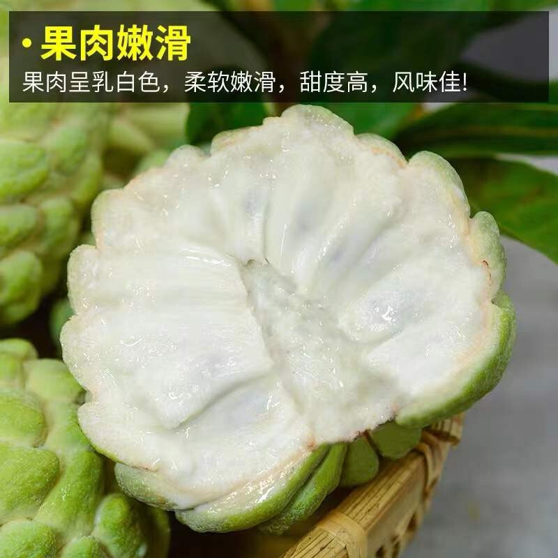 Guangzhou Jiangnan Wholesale Direct Delivery [] Thai Large-Eyed Sakyamuni Fruit Imported Papaya 5kg Fresh Fruit Special Grade