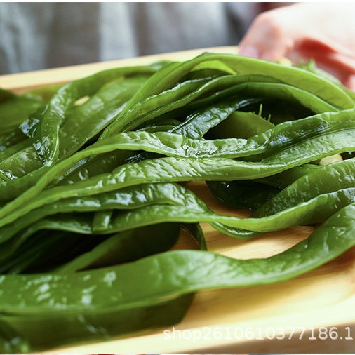 Directly from the Source Factory, Commercial Wholesale, Free Shipping, Salted and Dehydrated Wakame, Tender Stems, Salted Sea Cabbage