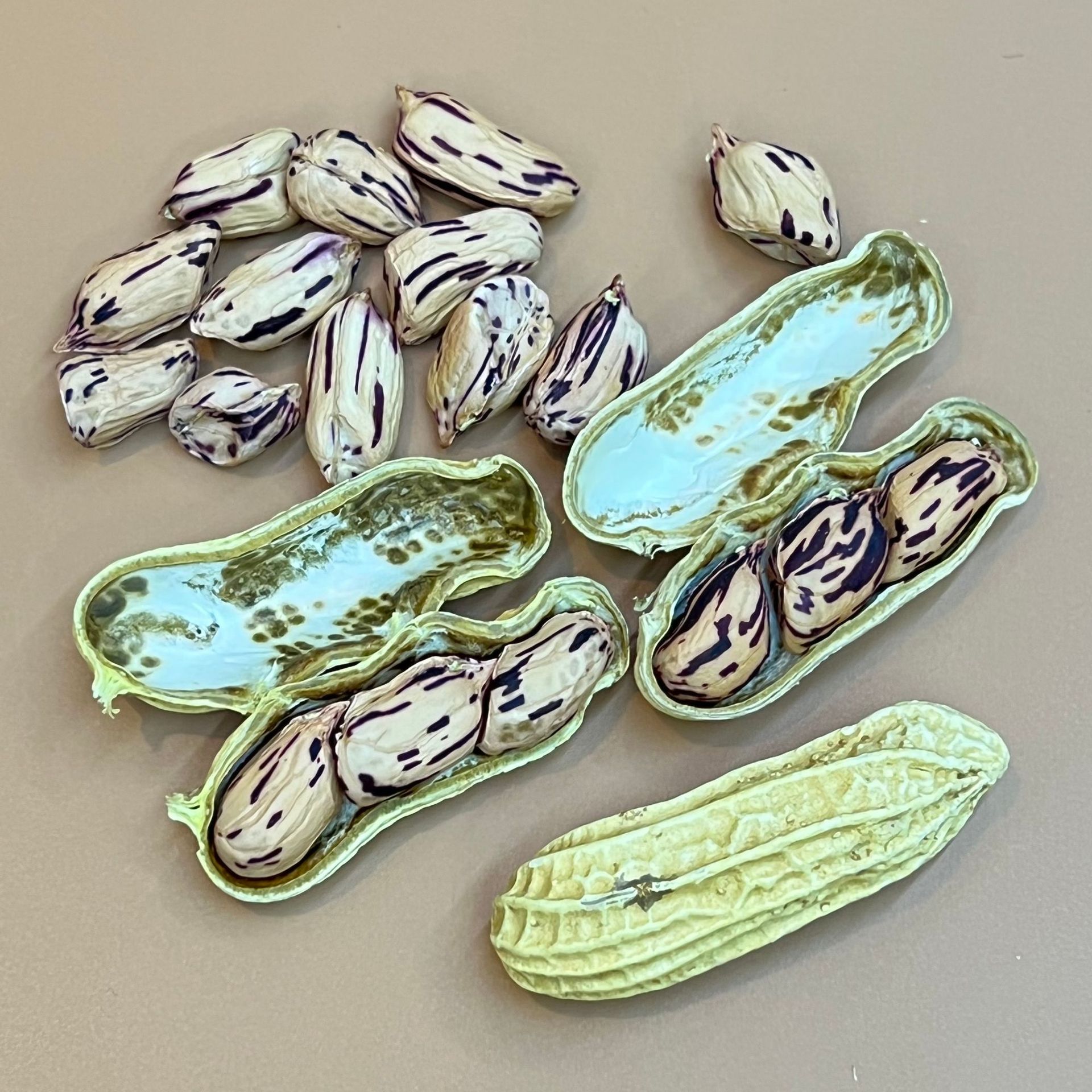 Yunnan Sun Dried Colorful Peanut Black Peanut Granules Full and Ripe Peanut in Season with Shell Peanut Source Wholesale