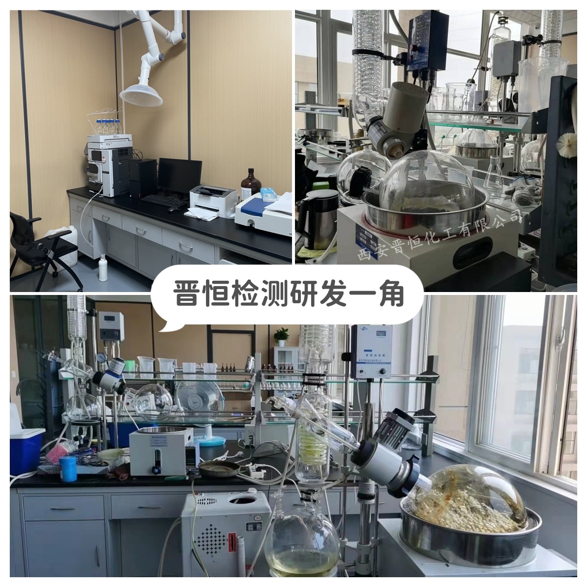 Psyllium Husk Powder, Psyllium Husk Powder Sc Factory Baking Meal Replacement Raw Materials, Three-Party Testing