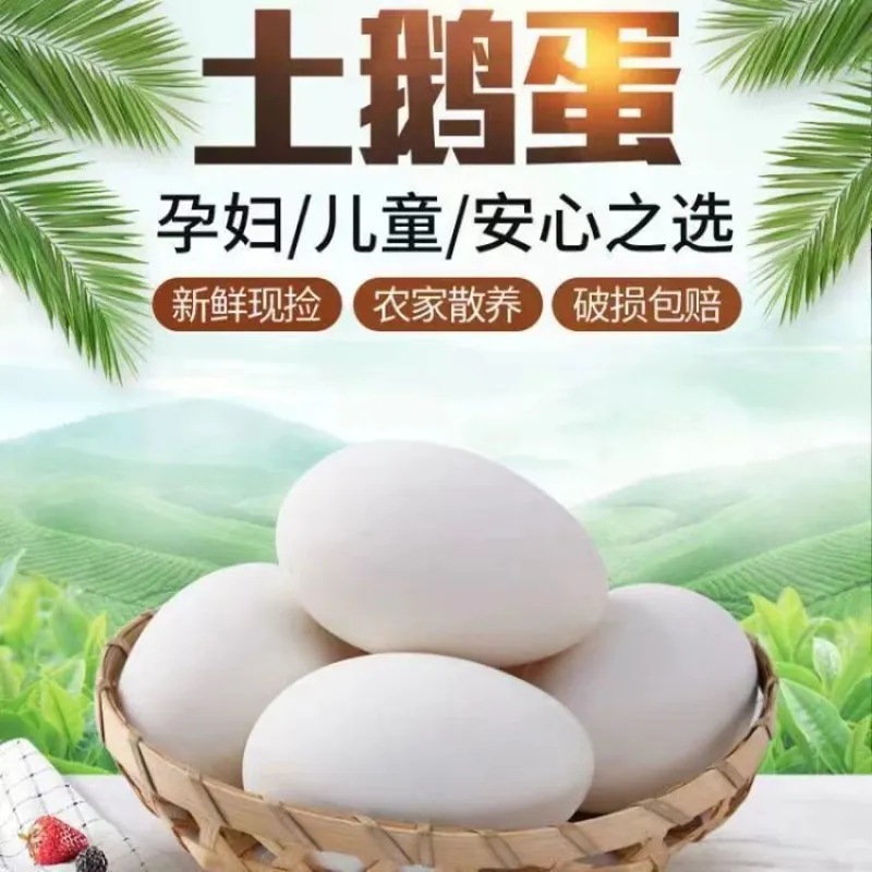 Farmhouse Goose Eggs, 6 Pieces, 80-100g, Fresh Eggs on the Day, Free-Range Goose Eggs, Nutritious, Suitable for Pregnant Women