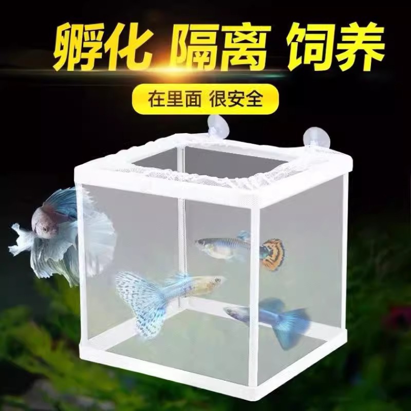 Fish Tank Isolation Net Betta Incubator Box Breeding Box Suspended Protection Small Fish Aquarium Guppy