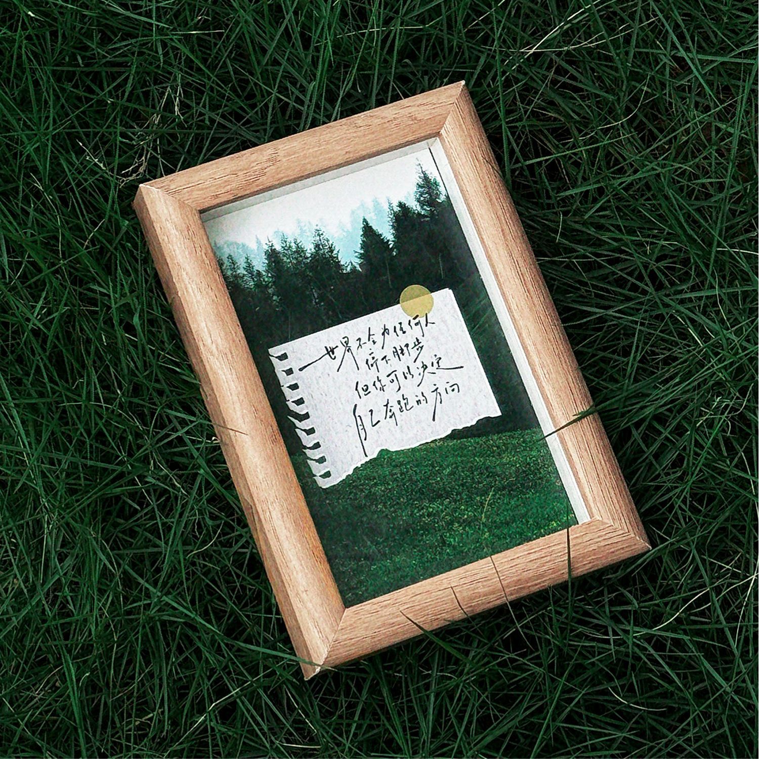 Mo Ink Boxed Postcards Start to Feel Happy from Ordinary Days, Fresh Scenery Message Decoration Cards