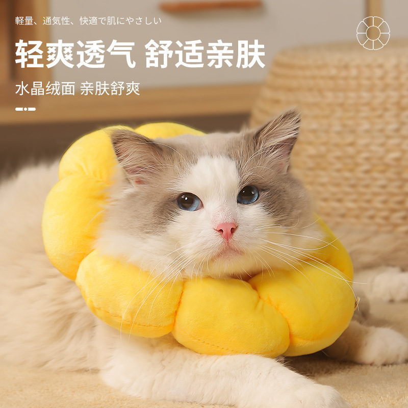 Sterilization Shame Ring Sunflower Lick Anti-scratch Headgear Elizabeth Ring Pet Cat Collar Dog Collar Anti-scratch