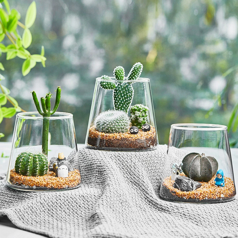 Стеклянная маленькая ваза для офиса, микро-ландшафтные украшения, вулканическая бутылка, экологическая бутылка, декоративная гидропонная бутылка для растений