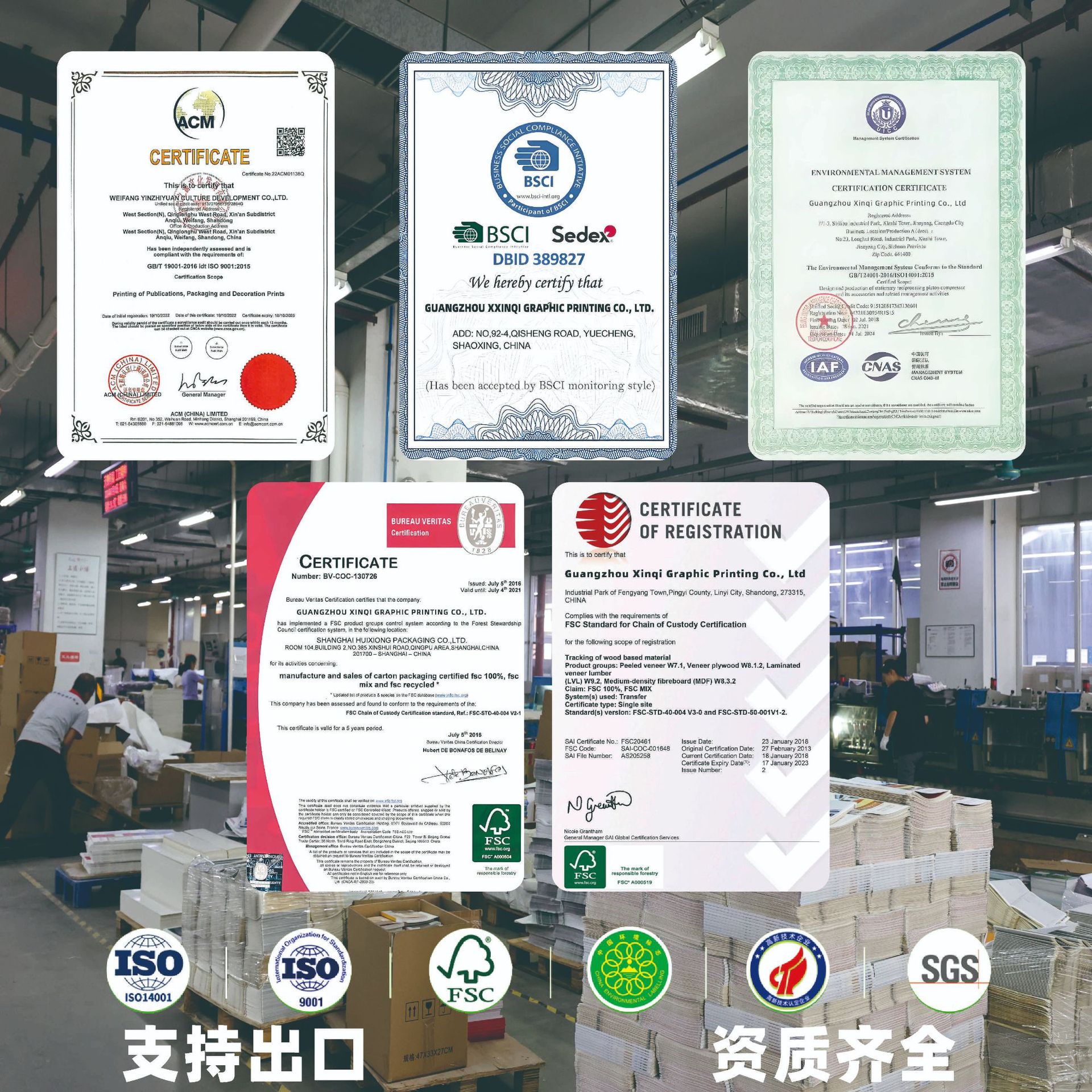 Amazon Foreign Language Books Custom Printing Popular Books Custom Medical Books Wireless Glue Binding Foreign Trade Best-Selling Books Printing