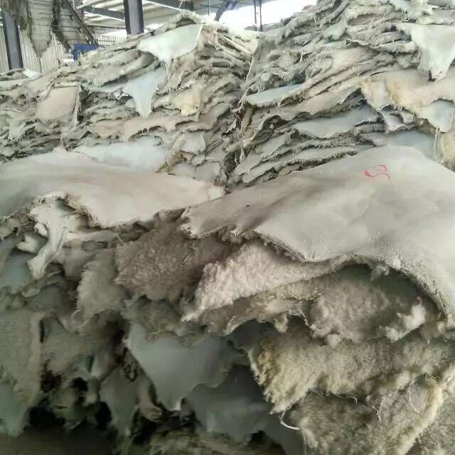 Australian Velvet Sheep Fur Integrated Whole Leather Fur Collar Clothing Snow Boots Leather Liner Wholesale to Heattech