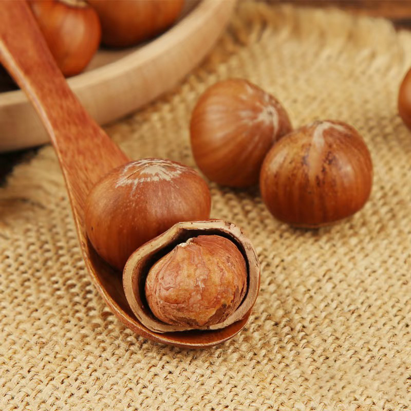 Hazelnuts Are a Specialty of Northeast China, Fresh, Shelled, Large Hazelnuts with Thin Shells, Roasted, Large Kernels, Original Flavor, No Additives, Nuts