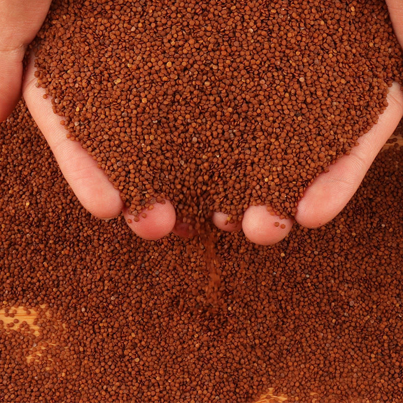 Ice Powder Seed Sichuan Specialty Authentic Hand Rub Ice Powder Handmade Bubble Ice Powder Raw Material Aiyu Seed Entity Commercial Stall