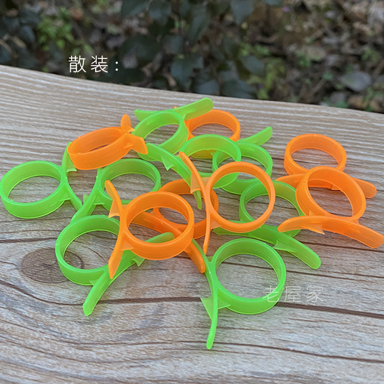 Snail Orange Peeler Ring Orange Cutter Navel Orange Peeler Wogan Cutter Emperor Orange Peeler Peeler