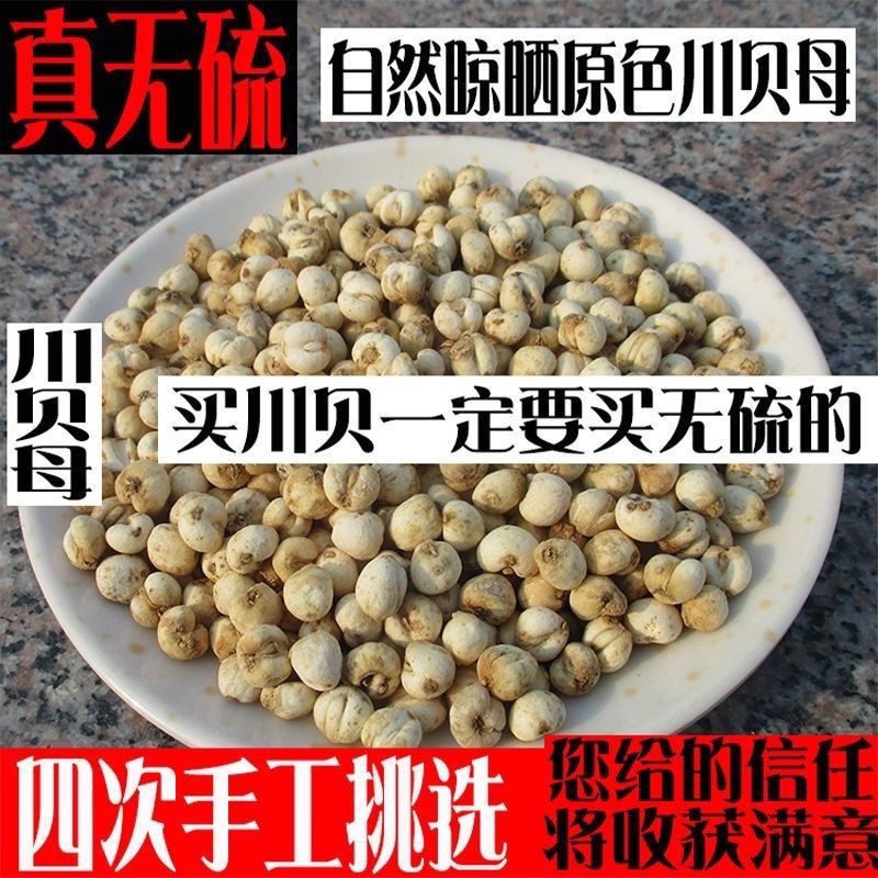 Аутентичная Сычуаньская Чуаньбей Ама Без Серы Чуаньбей Мать Настоящие Первоклассные Гранулы Чуаньбей Порошок Чистый Порошок Сухие Товары Тушеные со Снежной Грушей