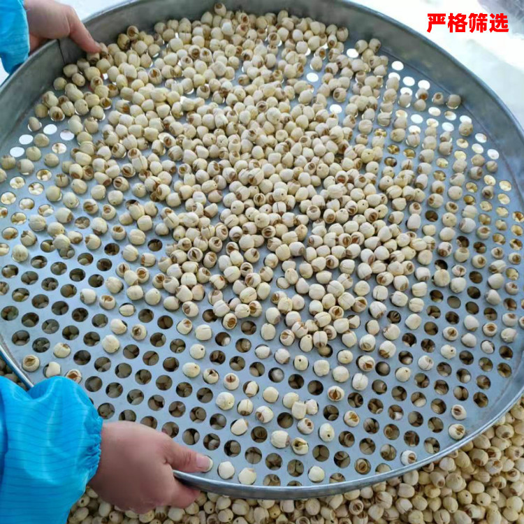 25 Years New Stock, Dropshipping, Fujian Jianing Lotus Seeds, Farm-Grown White Lotus Seeds, 500g Dry Goods