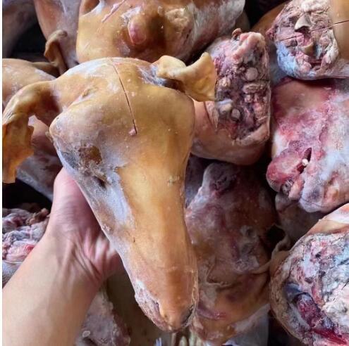 Fire-Roasted Sheep Head Fresh Frozen Fresh Spicy Sheep Head Meat Wholesale Fresh Frozen Fresh Sheep Head for Stall Commercial Use