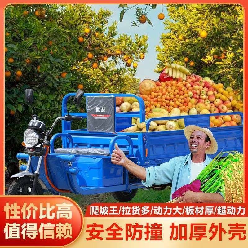 Electric Tricycle for Cargo, New Model for Home Use, Battery-Powered Delivery Vehicle, Street Vending Tricycle, Agricultural Vehicle, New National Standard