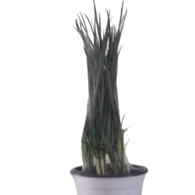 Herbal Flower Hydrangea Extra Soft Encryption Protection Net Cover Anti-Collision during Transportation Factory Direct Hair Protection Net Wuhan