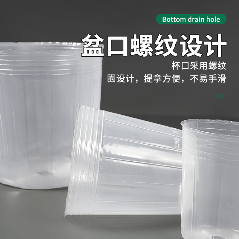 Cross-Border Transparent Phalaenopsis Nutrition Cup Black Nutrition Bag Disposable Nursery Cup Bowl Dendrobium Orchid Thickened Nutrition Bowl