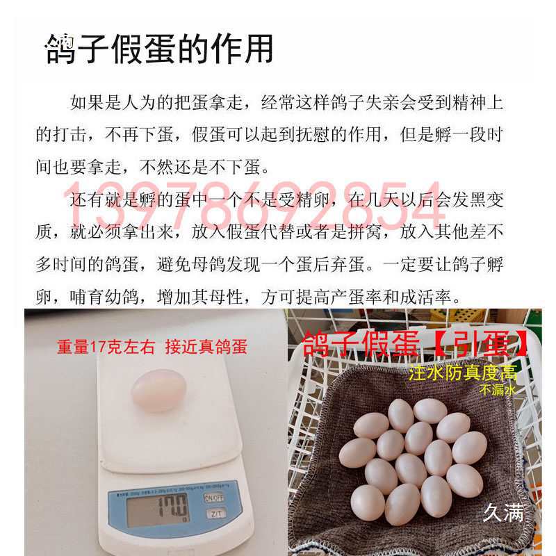 Water-Filled Fake Pigeon Eggs, Pigeon Decoy Eggs, Plastic Pigeon Decoy Eggs, Pigeon Farming Supplies, Meat Pigeons, Racing Pigeons