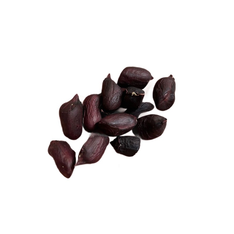 Yunnan Academy of Agricultural Sciences Selenium-Rich Black Peanuts in Shell 2025 New Fresh Original Black Peanuts Wholesale from the Place of Origin