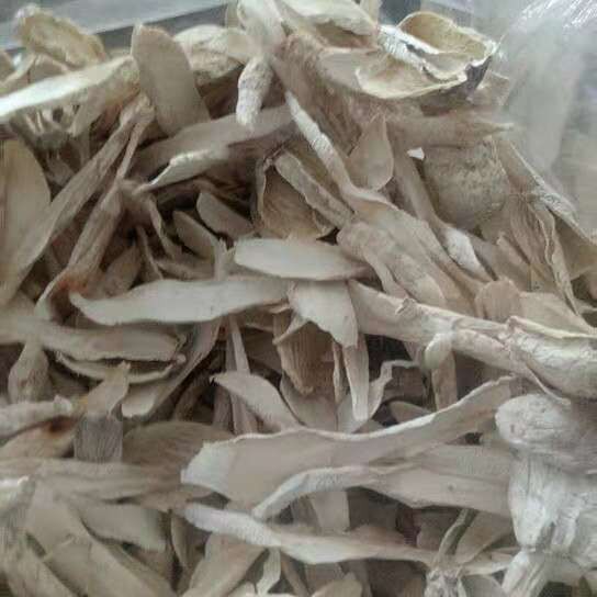 Gutian Manufacturer Direct Sales Fulian Chicken Leg Mushroom Edible Fungi Bulk Wholesale Chicken Leg Mushroom Dry Goods Shiitake Mushroom 500g