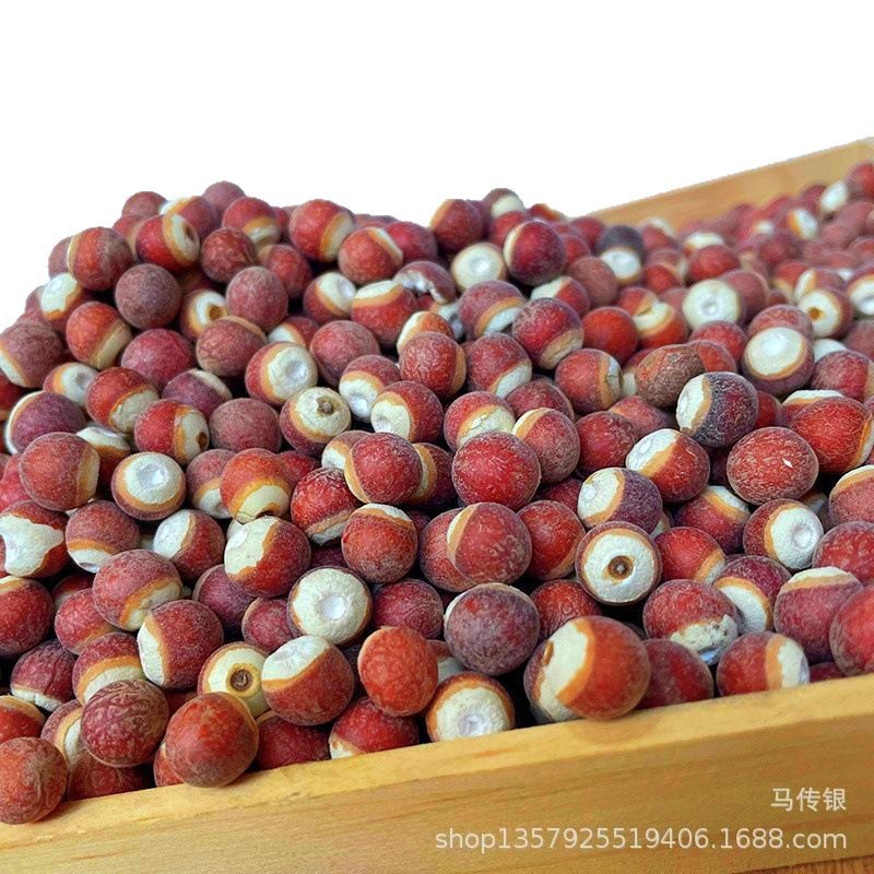【Kangyuan】Wholesale Natural Gorgon Fruit (Gordonia Pentaphylla) in Sizes 10mm and 12mm, Selected Large-Sized Gorgon Fruit in Various Specifications, Large Quantities Available at Favorable Prices