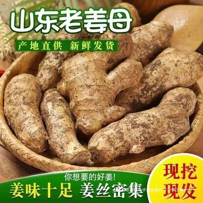 Fresh Ginger, Fresh Turmeric, Shandong Ginger, Air-Dried Ginger, Postpartum Ginger, Ginger Cubes, Fresh Dug Ginger, 2.5kg Free Shipping