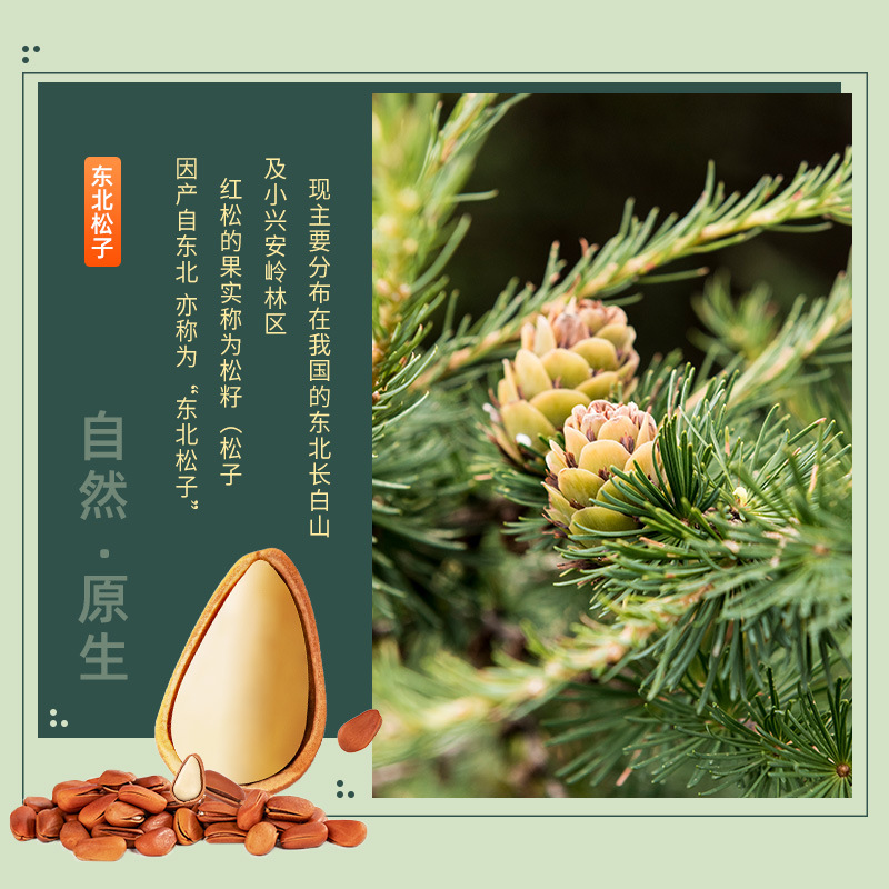 New Northeast Pine Nuts Large Granules Wholesale Nuts Snack Factory Specialty Wild Open Hand Peel Dried Fruit