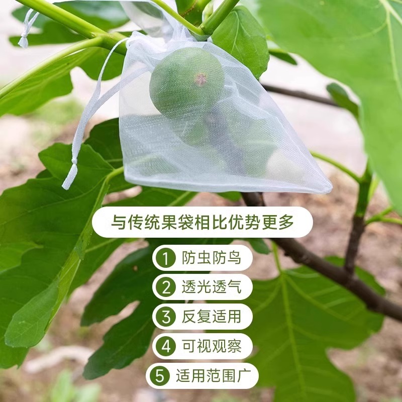Fruit bagging anti-bird and insect-proof special mesh bag grape fig loquat mango apple bag strawberry bagging wholesale