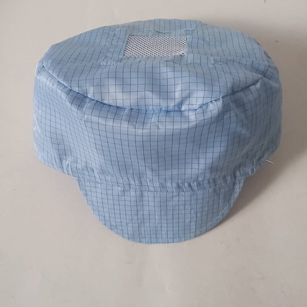Anti-Static Small Work Cap Mesh White Blue Dust-Free Workshop Food Factory Protective Cap for Men and Women Foxconn Static