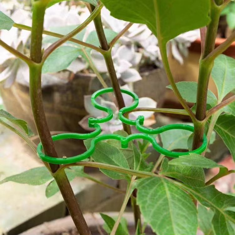 Gardening Eight-Character Buckle Garden Vegetable Garden Green Plant Vegetable and Fruit Fixed Clip Grape Seedlings Vine Tie Eight-Character Buckle Bracket