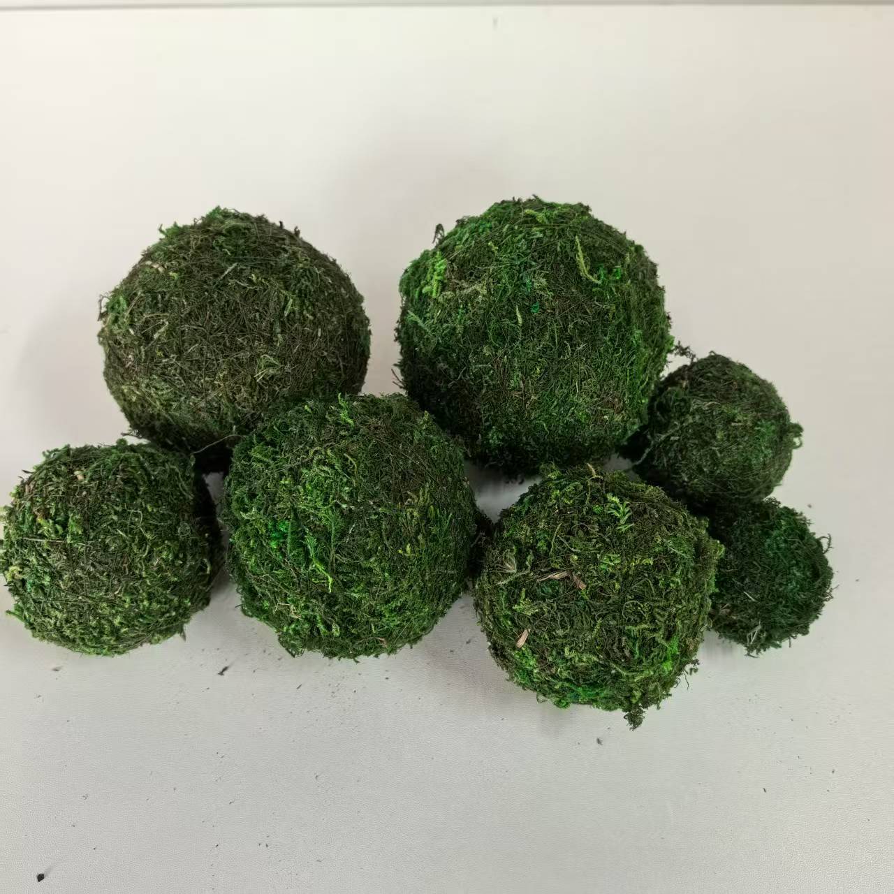 Supply moss ball exported to Japan and Europe gardening Moss flowerpot potted grass ball dried flower ball dried flower