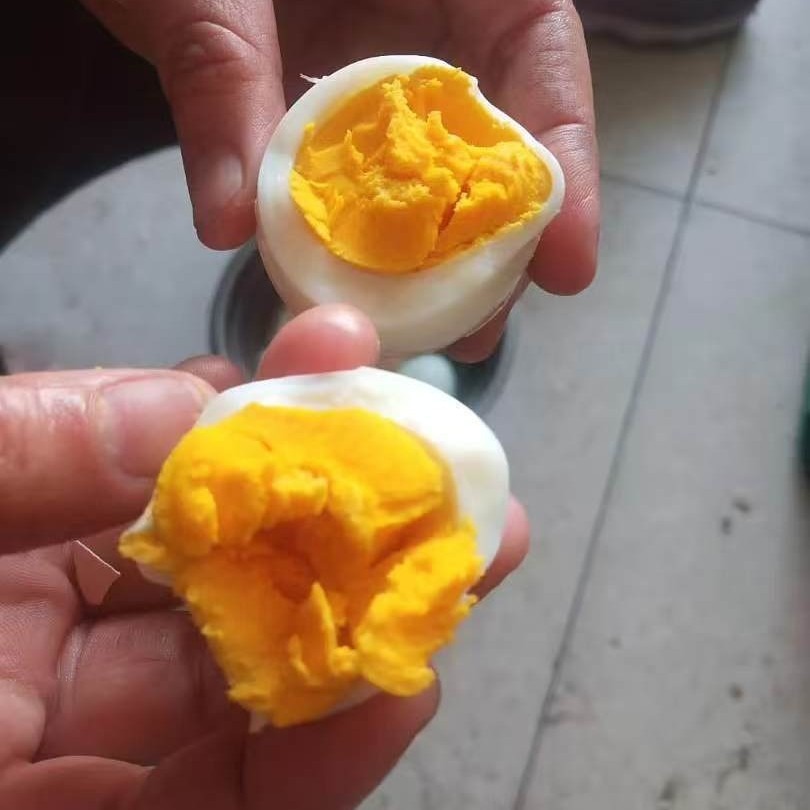 Mountain Chicken Eggs, Grass-Fed Chicken Eggs, Selenium-Rich Chicken Eggs, Cordyceps Chicken Eggs, Authentic Free-Range Chicken Eggs, Wholesale in Large Quantities